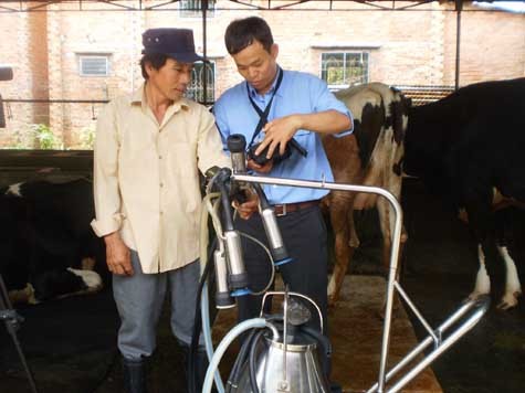 Nhân viên khuyến nông của FrieslandCampina hướng dẫn kỹ thuật cho người dân.